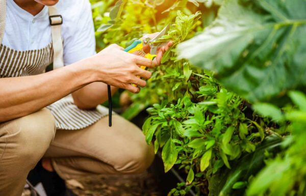 young-man-relax-in-the-garden-he-care-plant-and-fl-2025-01-09-03-03-17-utc_11zon