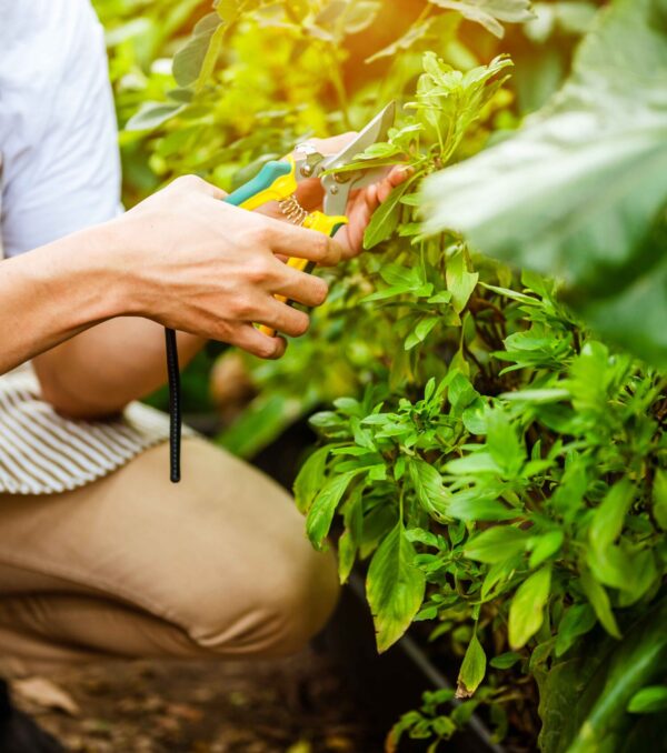 young-man-relax-in-the-garden-he-care-plant-and-fl-2025-01-09-03-03-17-utc_11zon