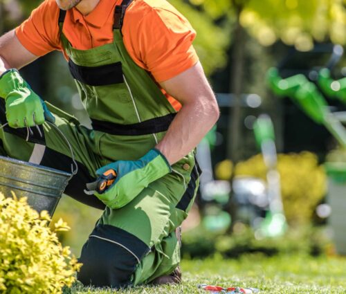 garden-spring-maintenance-performed-by-gardener-2025-04-01-20-58-46-utc_11zon
