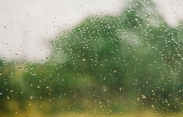 glass-with-raindrops-on-a-forest-background-2024-10-13-22-46-03-utc_11zon
