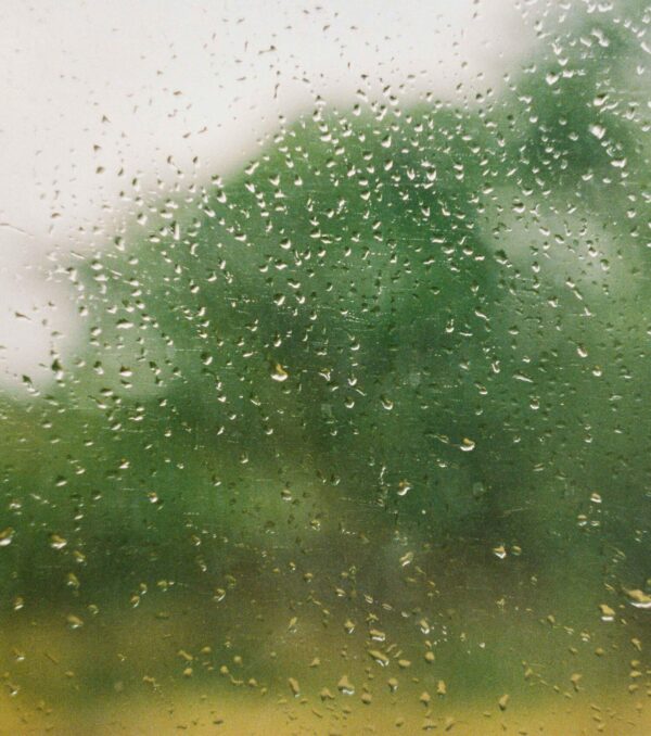 glass-with-raindrops-on-a-forest-background-2024-10-13-22-46-03-utc_11zon