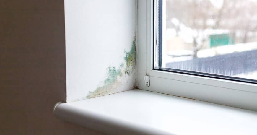 prevent mold Phuket homes